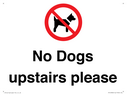 no-dogs-upstairs-please-~
